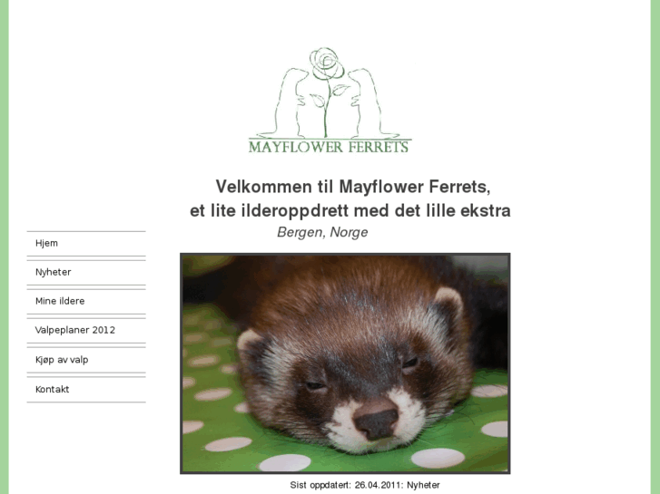 www.mayflowerferrets.com