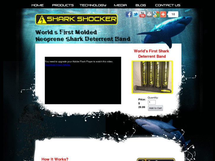 www.thesharkshocker.com