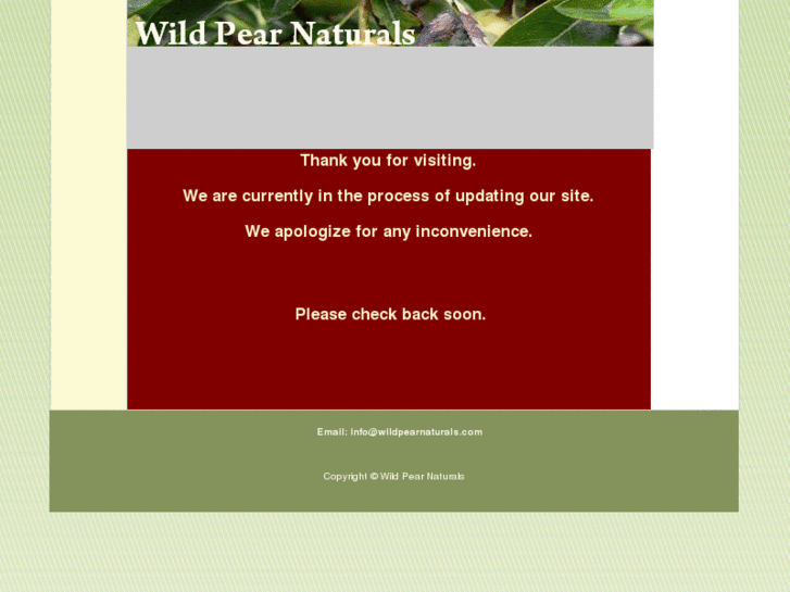 www.wildpearnaturals.com