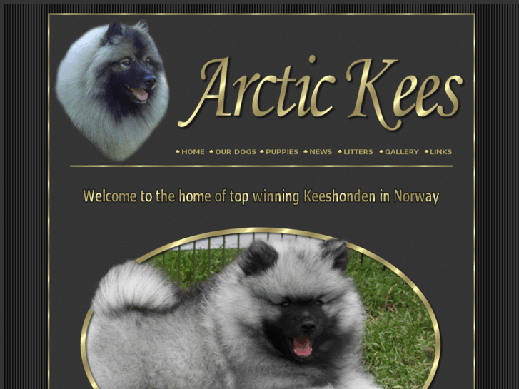 www.arctickees.com