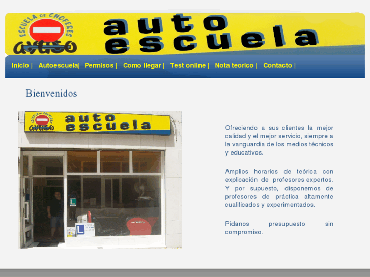 www.autoescuelasayuso.com