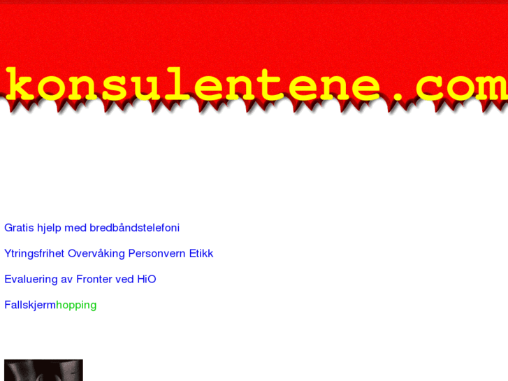 www.konsulentene.com