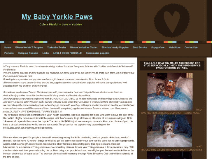 www.mybabyyorkiepaws.com