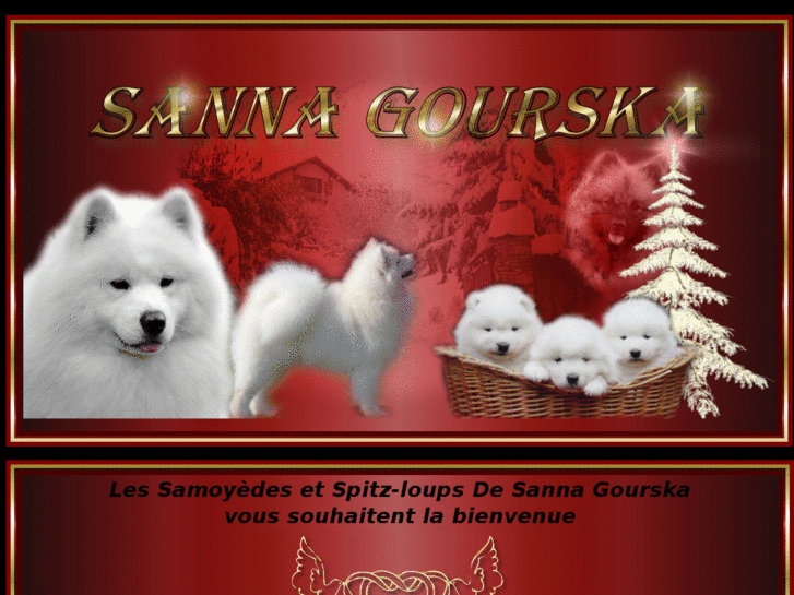 www.sannagourska.com