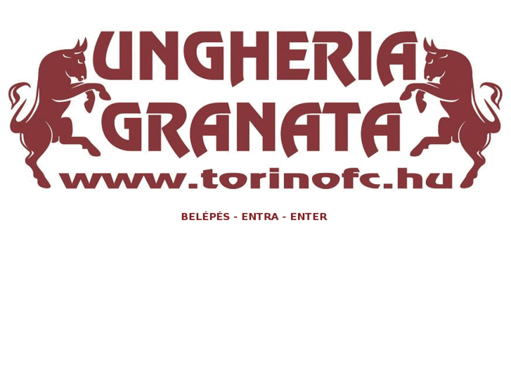 www.torinofc.hu