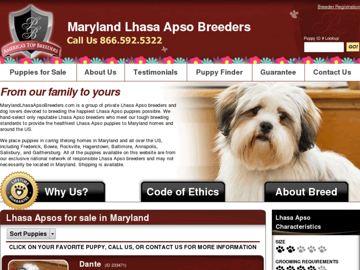 www.marylandlhasaapsobreeders.com