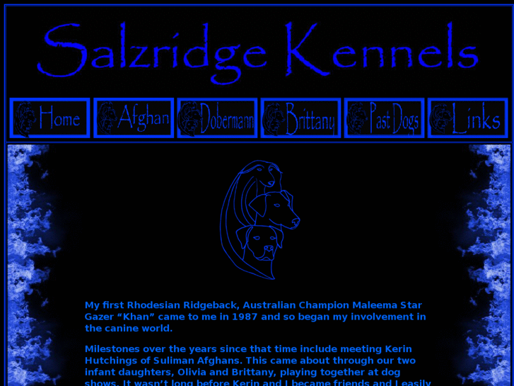 www.salzridge.com