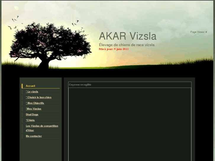 www.akarvizsla.com