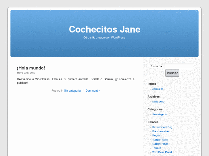 www.cochecitosjane.com