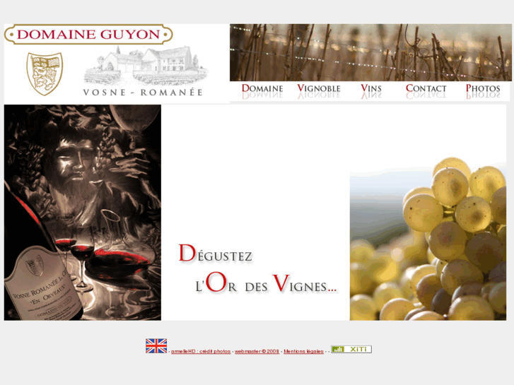 www.domaineguyon-vosne.com