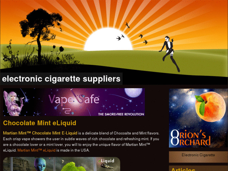 www.electroniccigarettesuppliers.com