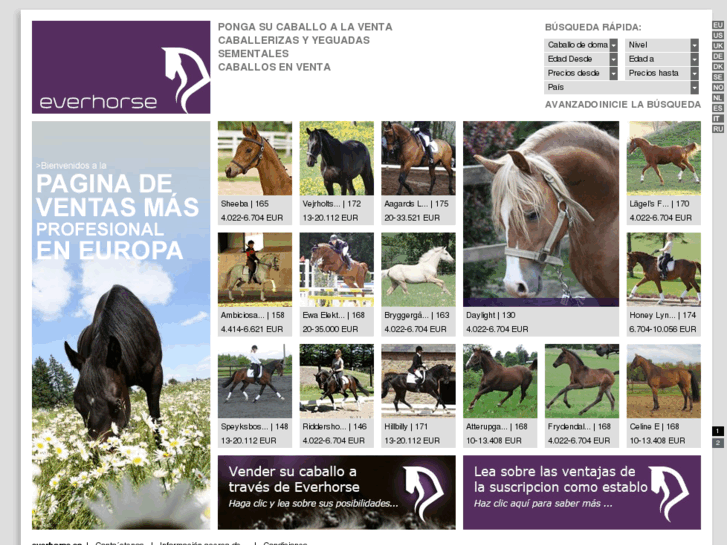 www.everhorse.es
