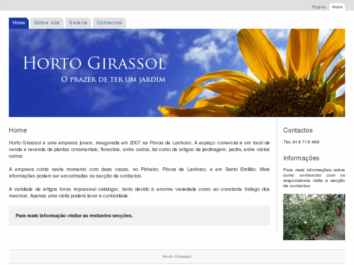 www.hortogirassol.com