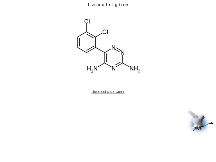 www.lamotrigine.com