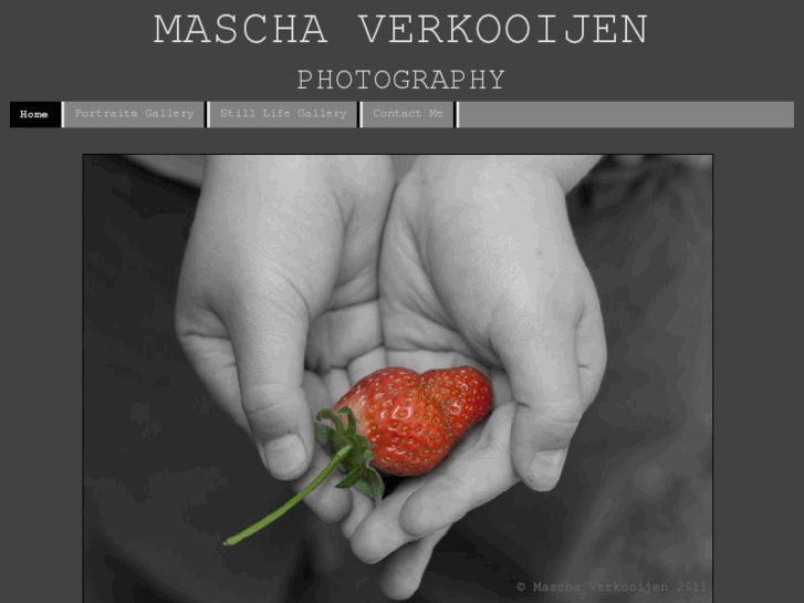 www.maschaverkooijen.com