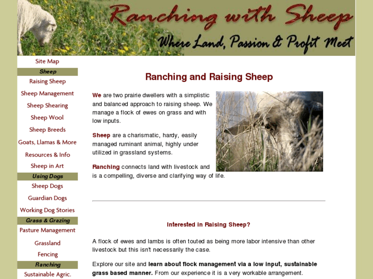 www.ranching-with-sheep.com