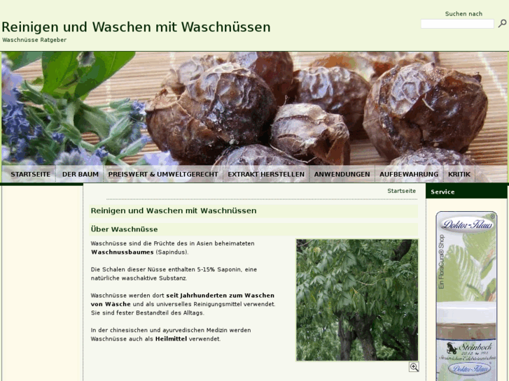 www.waschnuesse-ratgeber.com