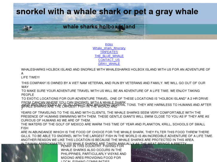 www.whaleshark-graywhale.com