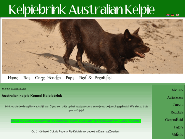 www.australian-kelpie.nl