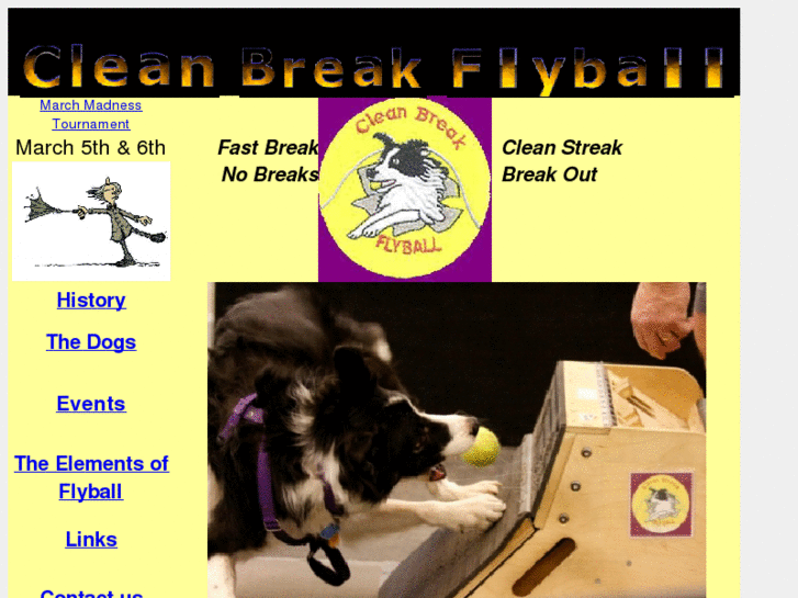 www.cleanbreakflyball.com