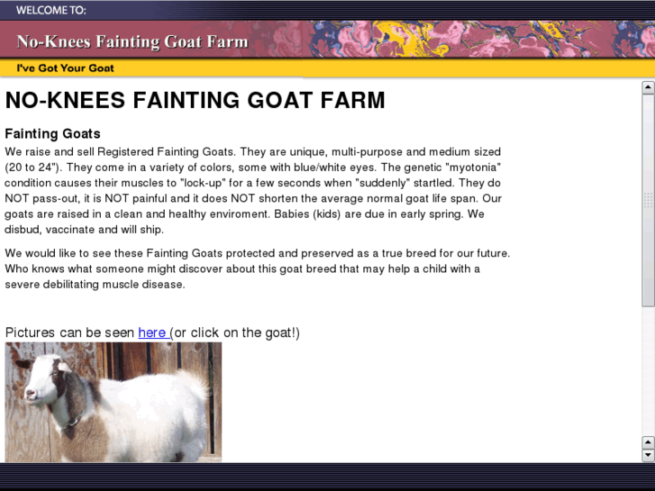 www.faintinggoats.com