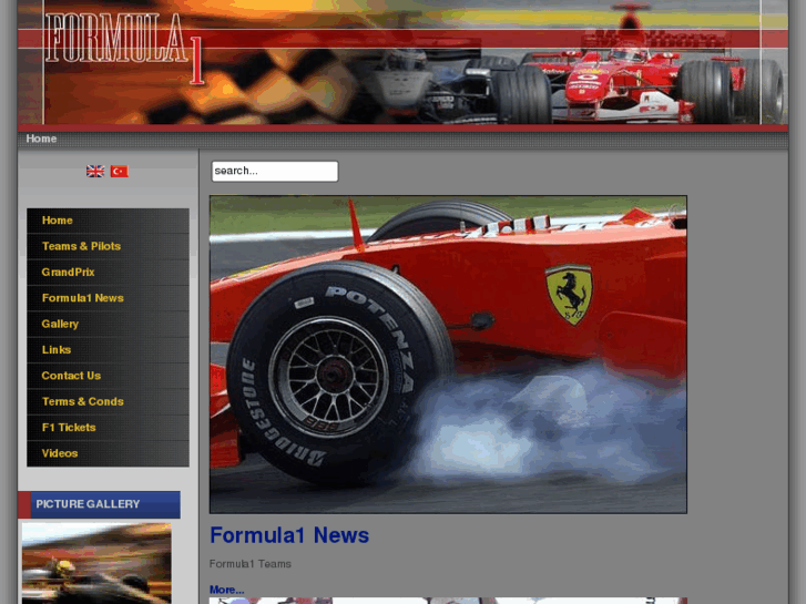 www.gotoformula1.com