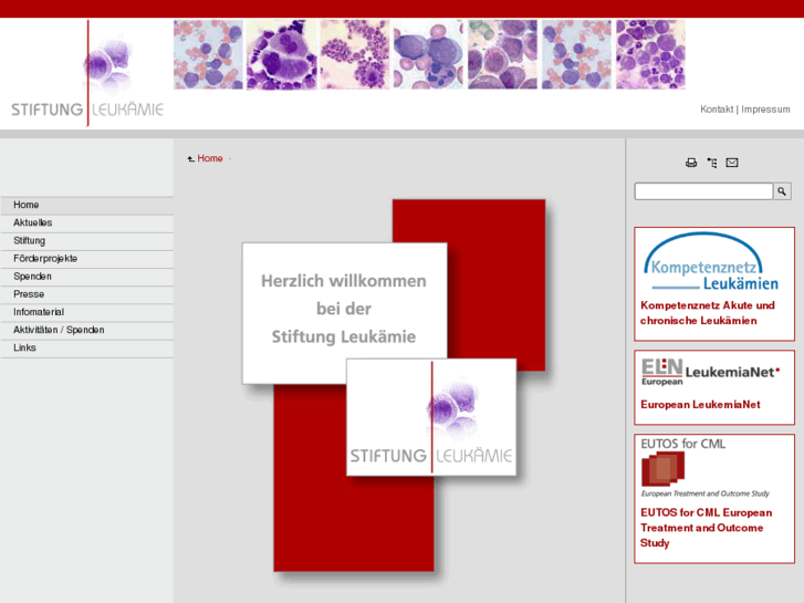 www.stiftung-leukaemie.de