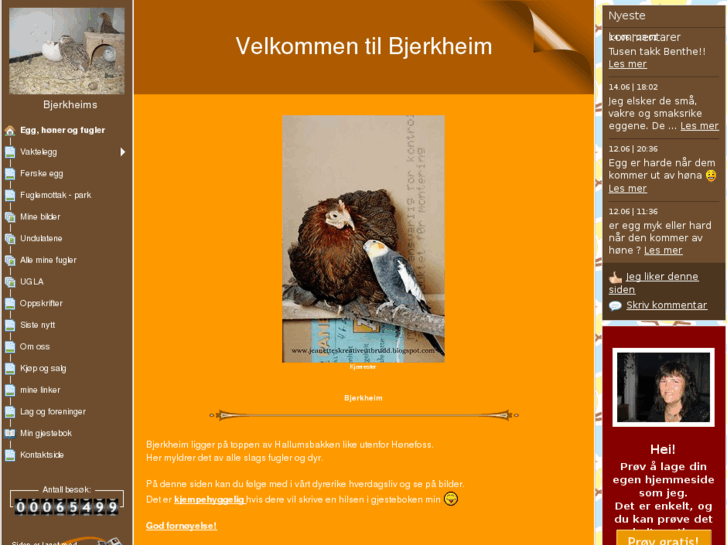 www.bjerkheims.com