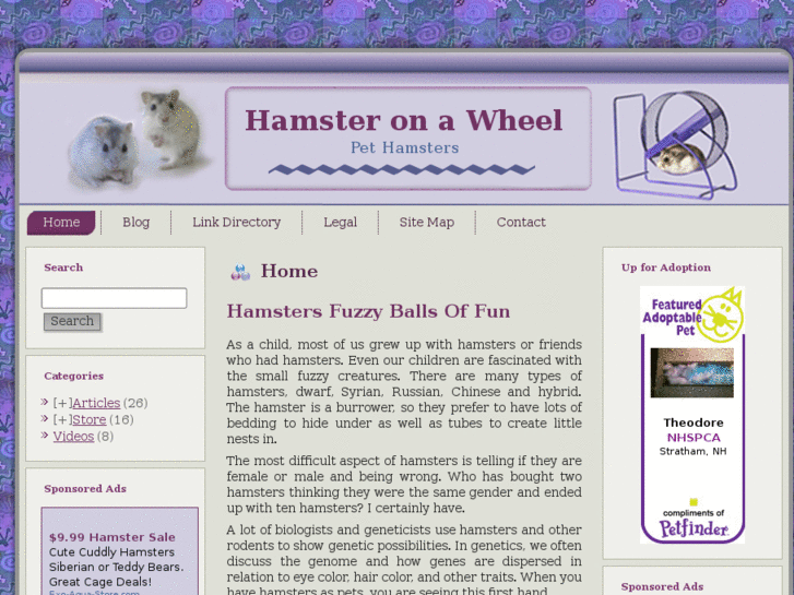 www.hamsteronawheel.com