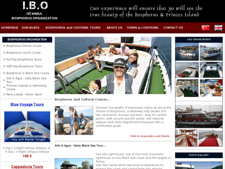 www.ibocruise.com