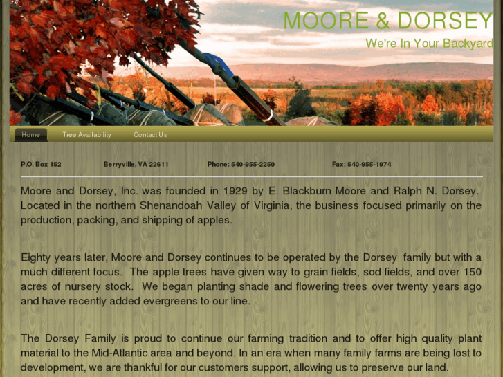 www.mooreanddorsey.com