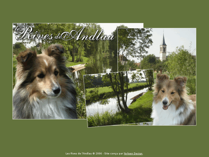 www.shelties-andlau.com