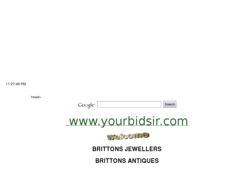 www.yourbidsir.com