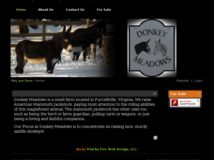 www.donkeymeadows.com