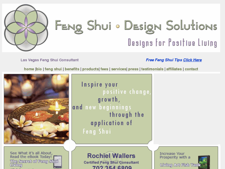 www.fengshui-designsolutions.com