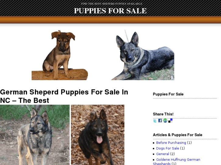 www.germanshepherdpuppiesforsalenc.com