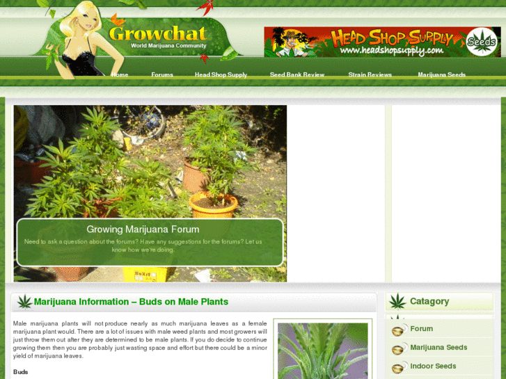 www.growchat.com