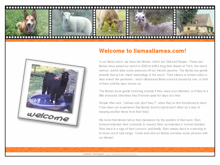 www.llamasllamas.com