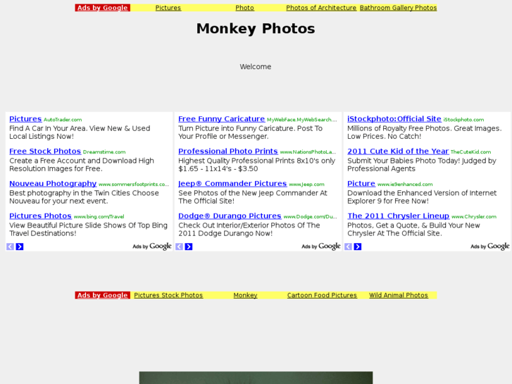 www.monkeyphotos.net