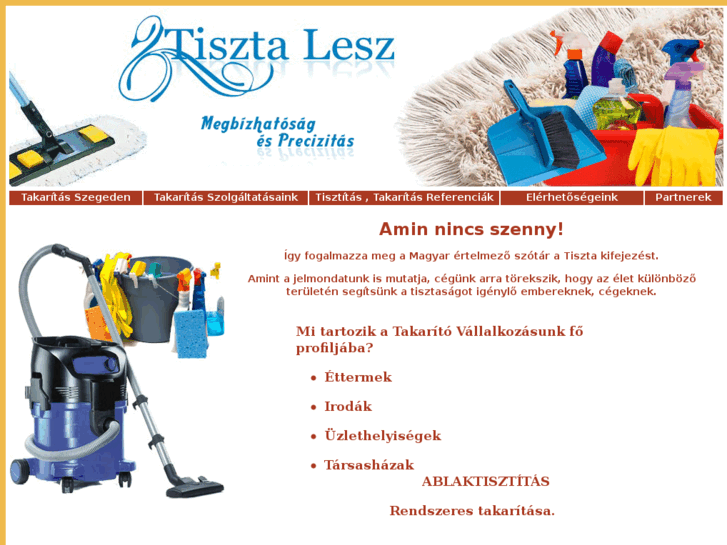 www.tisztalesz.com