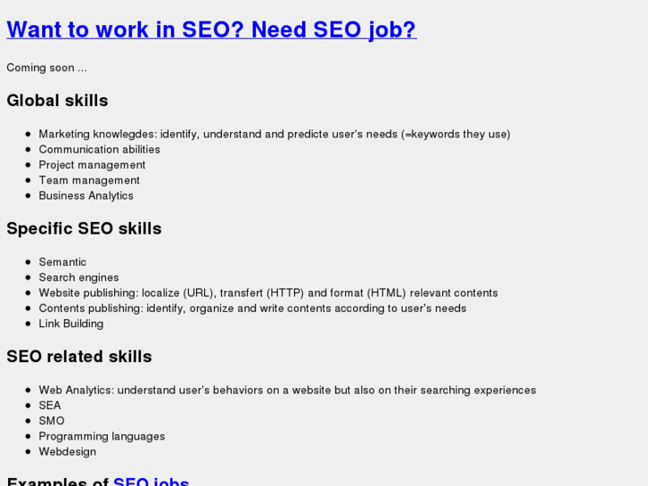 www.work-in-seo.com