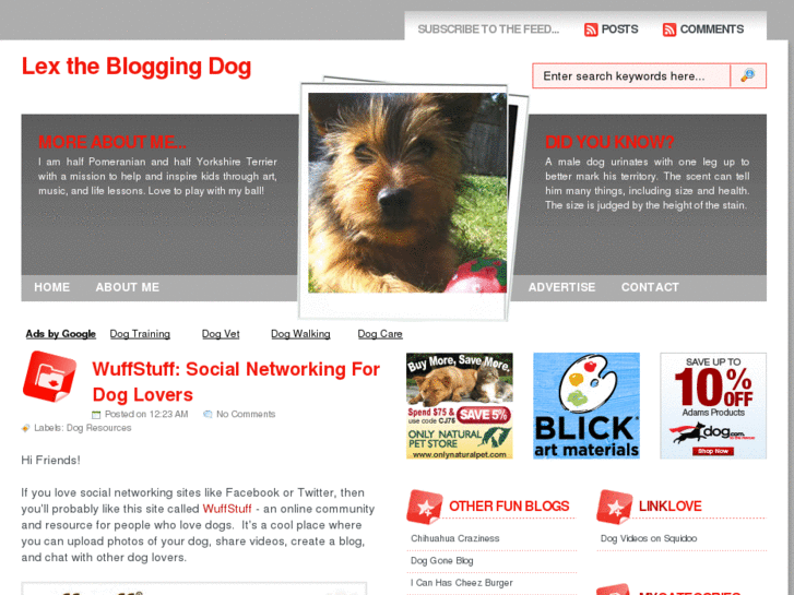 www.blogging-dog.com