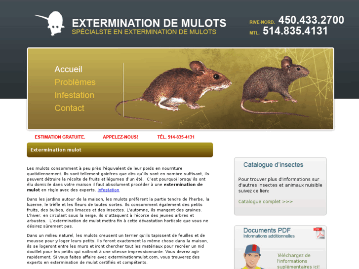 www.exterminationmulot.com