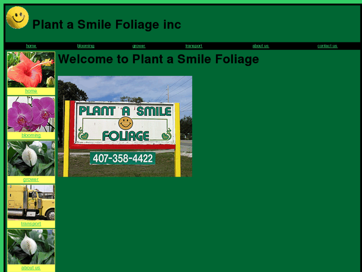 www.plantasmilefoliage.com