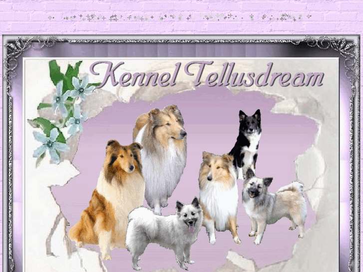 www.tellusdream.com