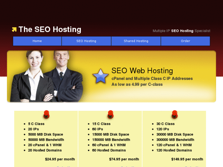 www.theseohosting.com