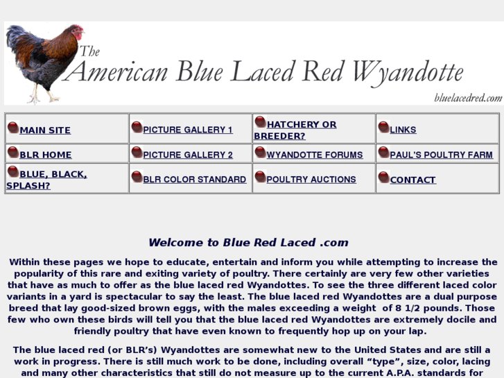 www.bluelacedred.com