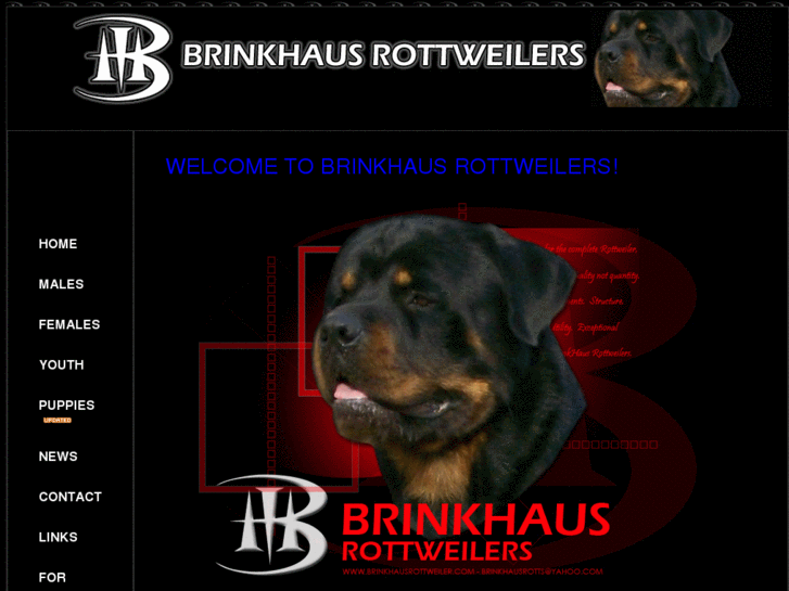 www.brinkhausrottweiler.com