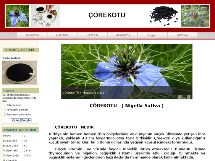 www.corekotufaydalari.com