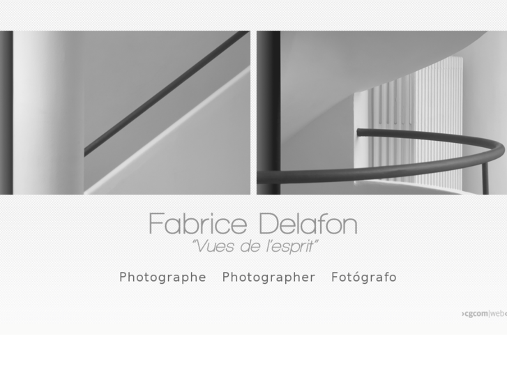 www.fabricedelafon.com